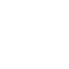 Les Cycas